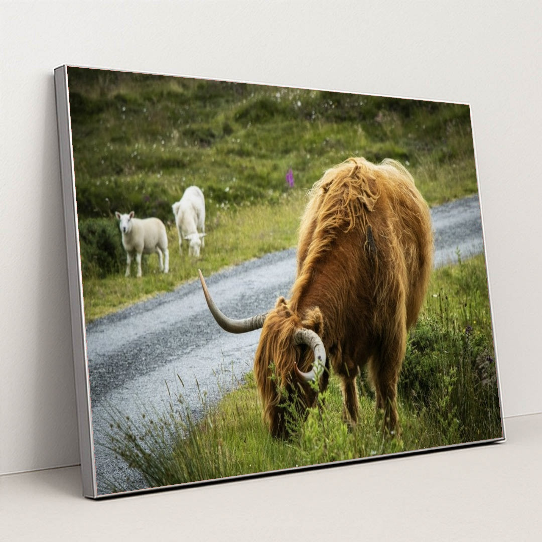 7090290720803 - Product Image