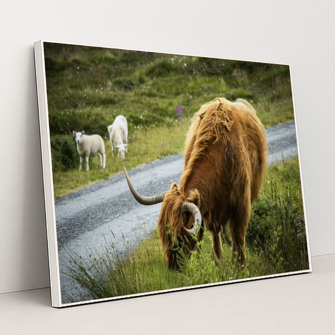 7090290720803 - Product Image