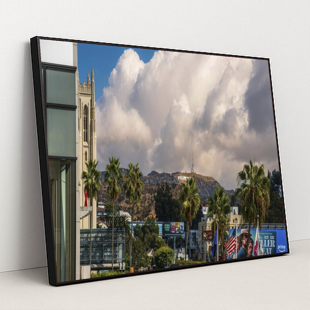 7090805637155 - Product Image