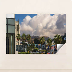 7090805637155 - Product Image