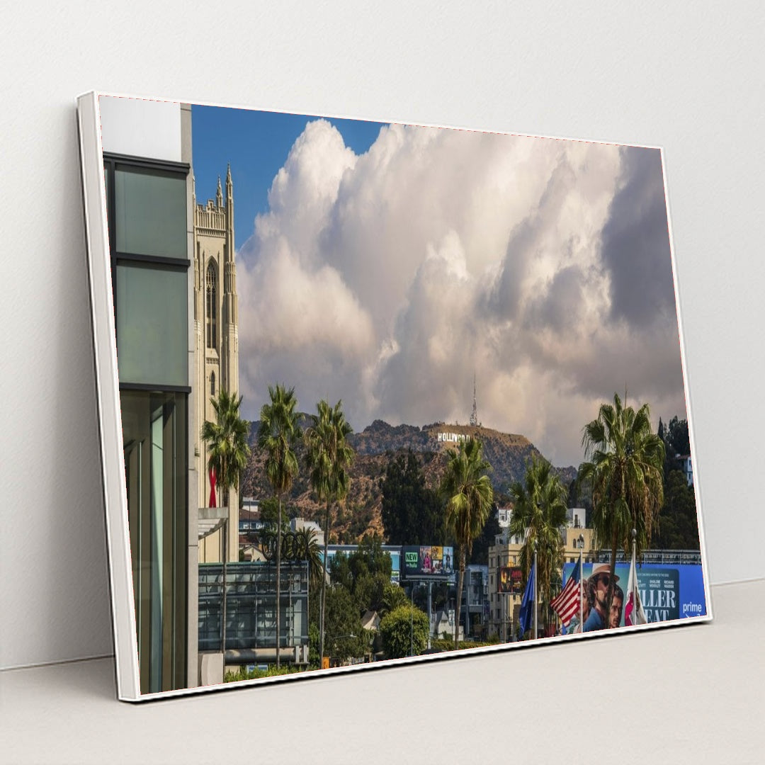 7090805637155 - Product Image