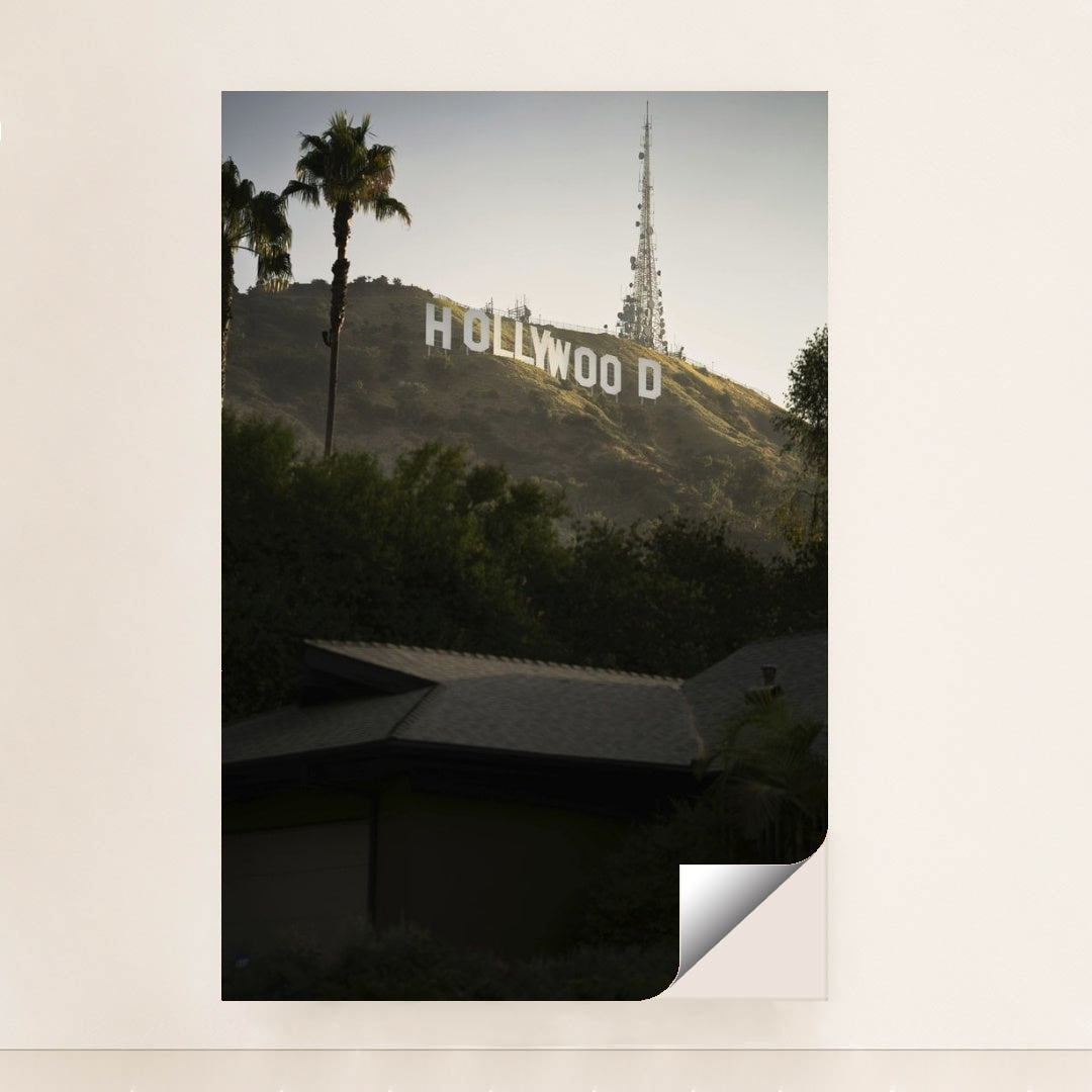 7090356617251 - Product Image