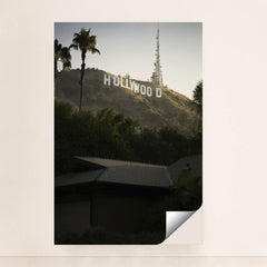 7090356617251 - Product Image