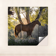 7090232852515 - Product Image