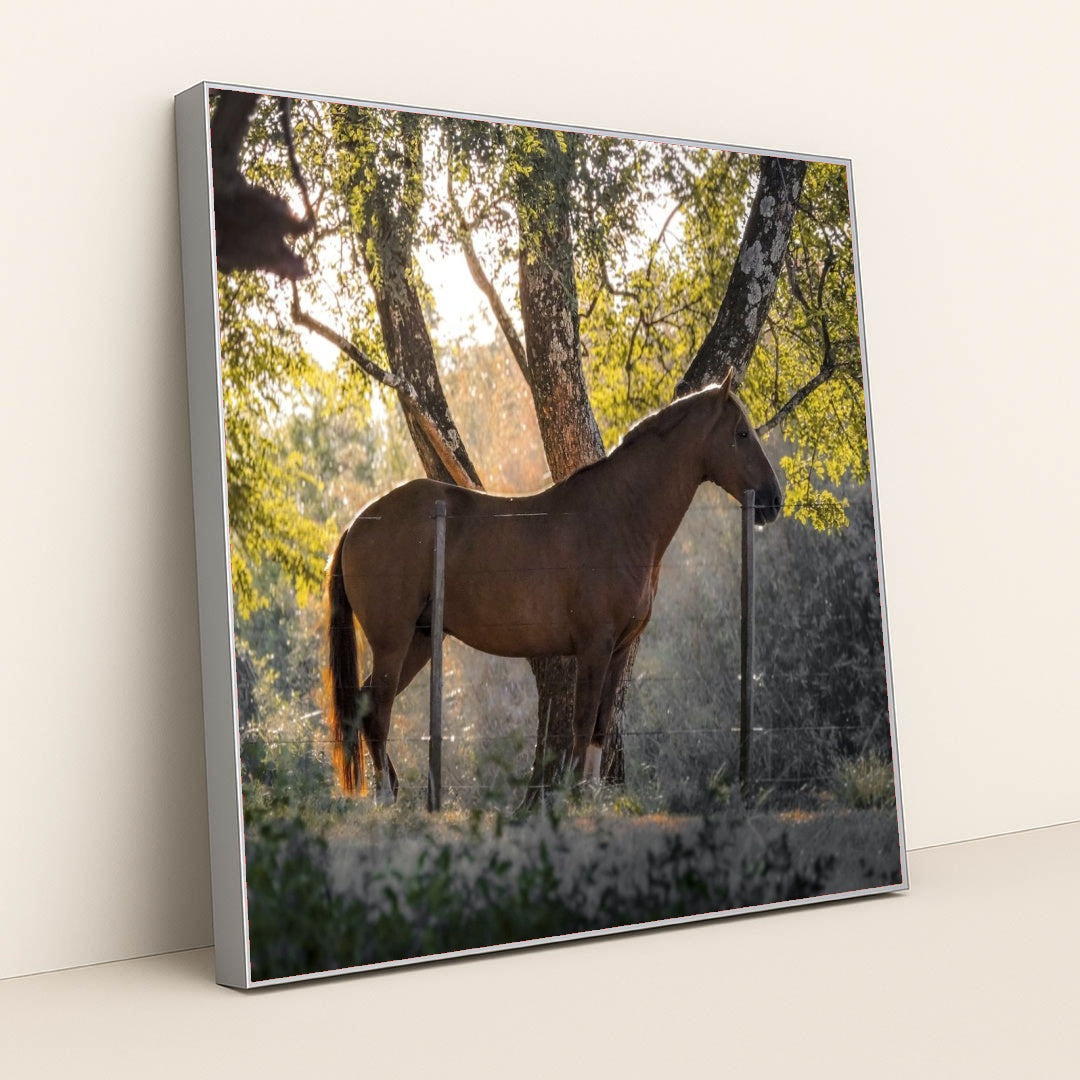 7090232852515 - Product Image