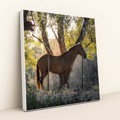 7090232852515 - Product Image