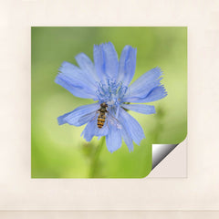 7090292391971 - Product Image