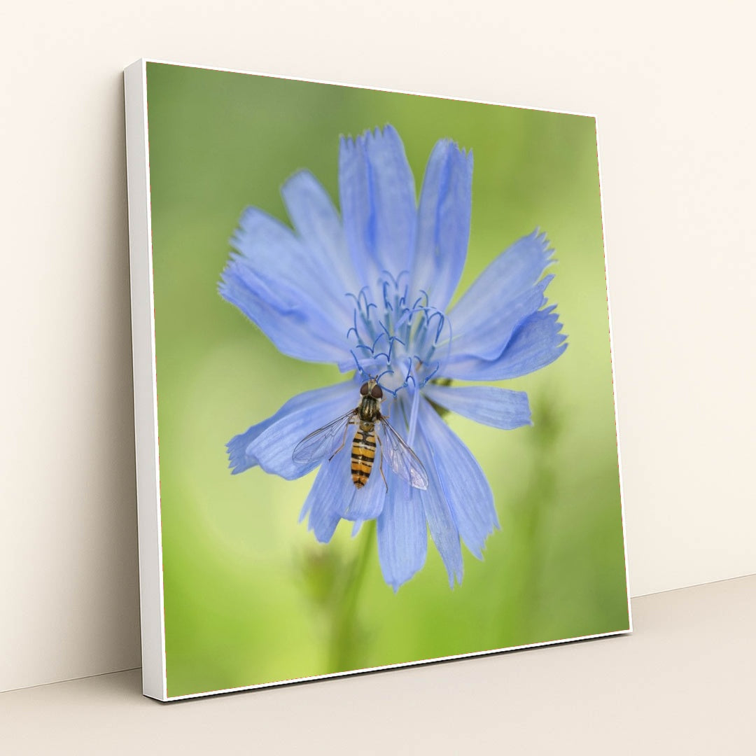 7090292391971 - Product Image