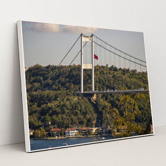 7090805571619 - Product Image