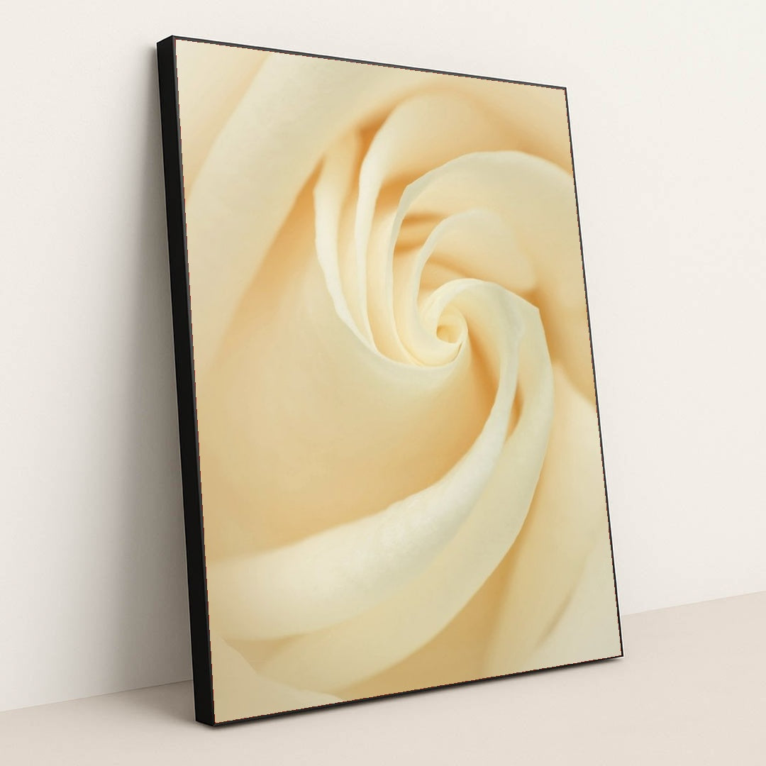 7090287706147 - Product Image