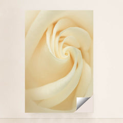 7090287706147 - Product Image