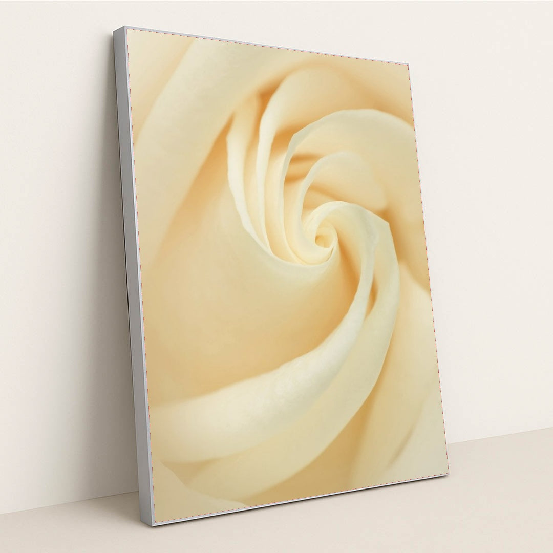 7090287706147 - Product Image