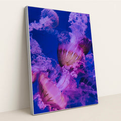 7077675565091 - Product Image