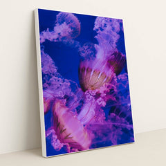 7077675565091 - Product Image