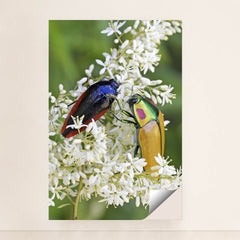 7090297438243 - Product Image