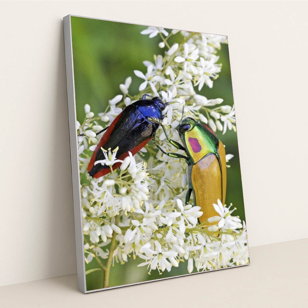 7090297438243 - Product Image