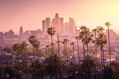 Stock Photos - Beautiful sunset of Los Angeles downtown skyline and palm trees in foreground