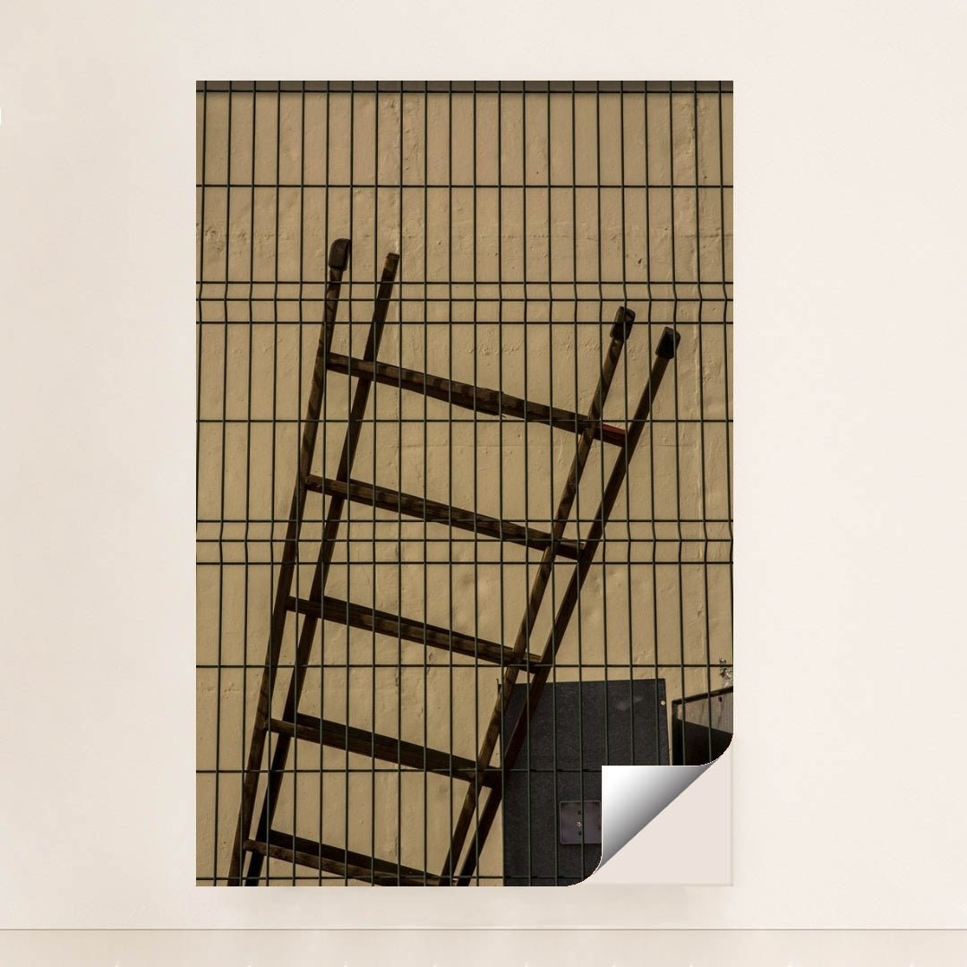 7090692849699 - Product Image