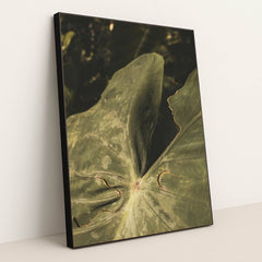 7090218893347 - Product Image