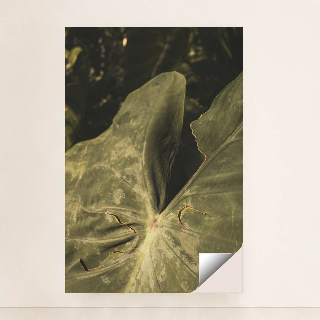 7090218893347 - Product Image