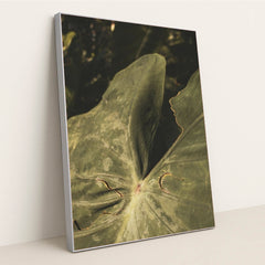 7090218893347 - Product Image