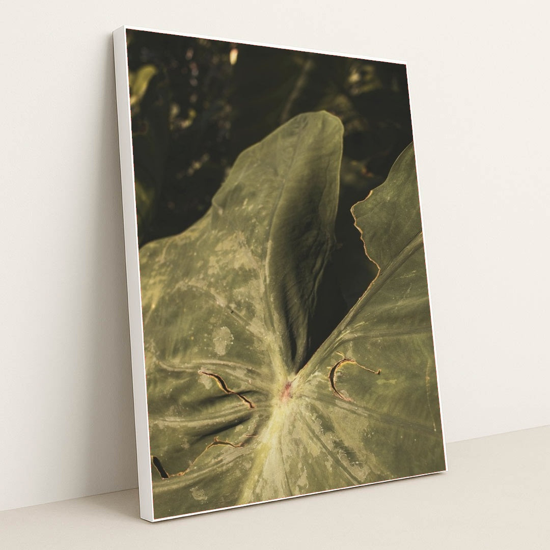 7090218893347 - Product Image