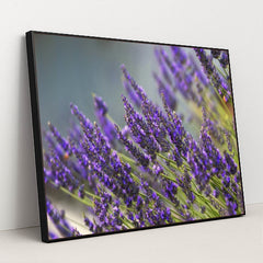 7090291638307 - Product Image