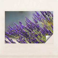 7090291638307 - Product Image