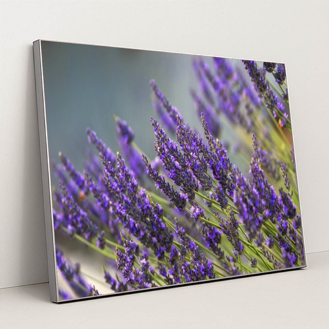 7090291638307 - Product Image