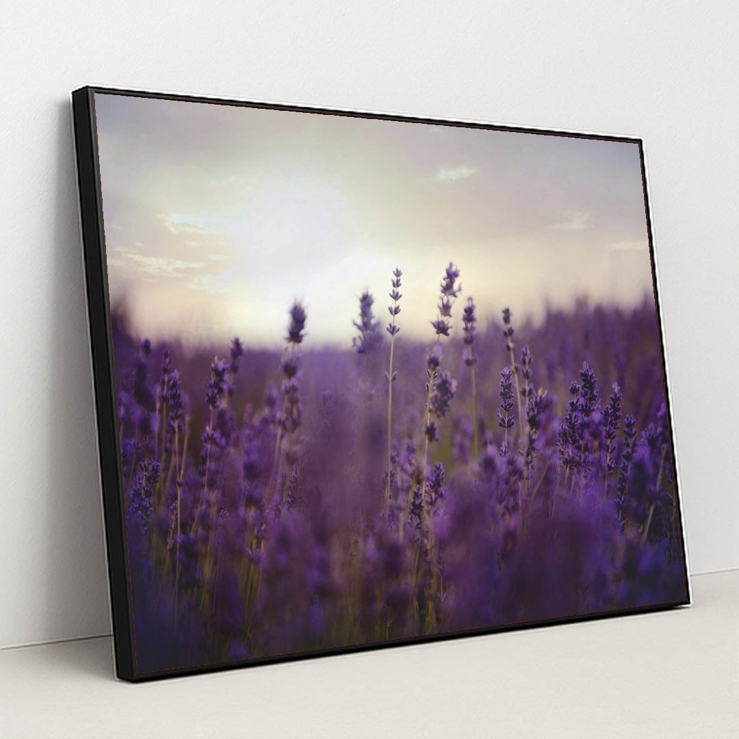 7090295668771 - Product Image