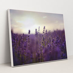 7090295668771 - Product Image