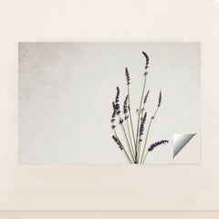 7090288427043 - Product Image