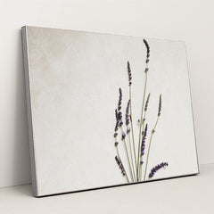 7090288427043 - Product Image