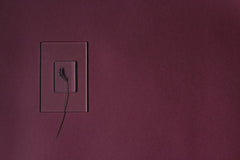 Lisett Kruusimäe - Minimalist maroon backdrop featuring a transparent frame with a single flower stem.