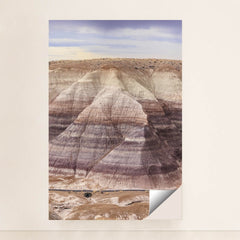 7090357895203 - Product Image