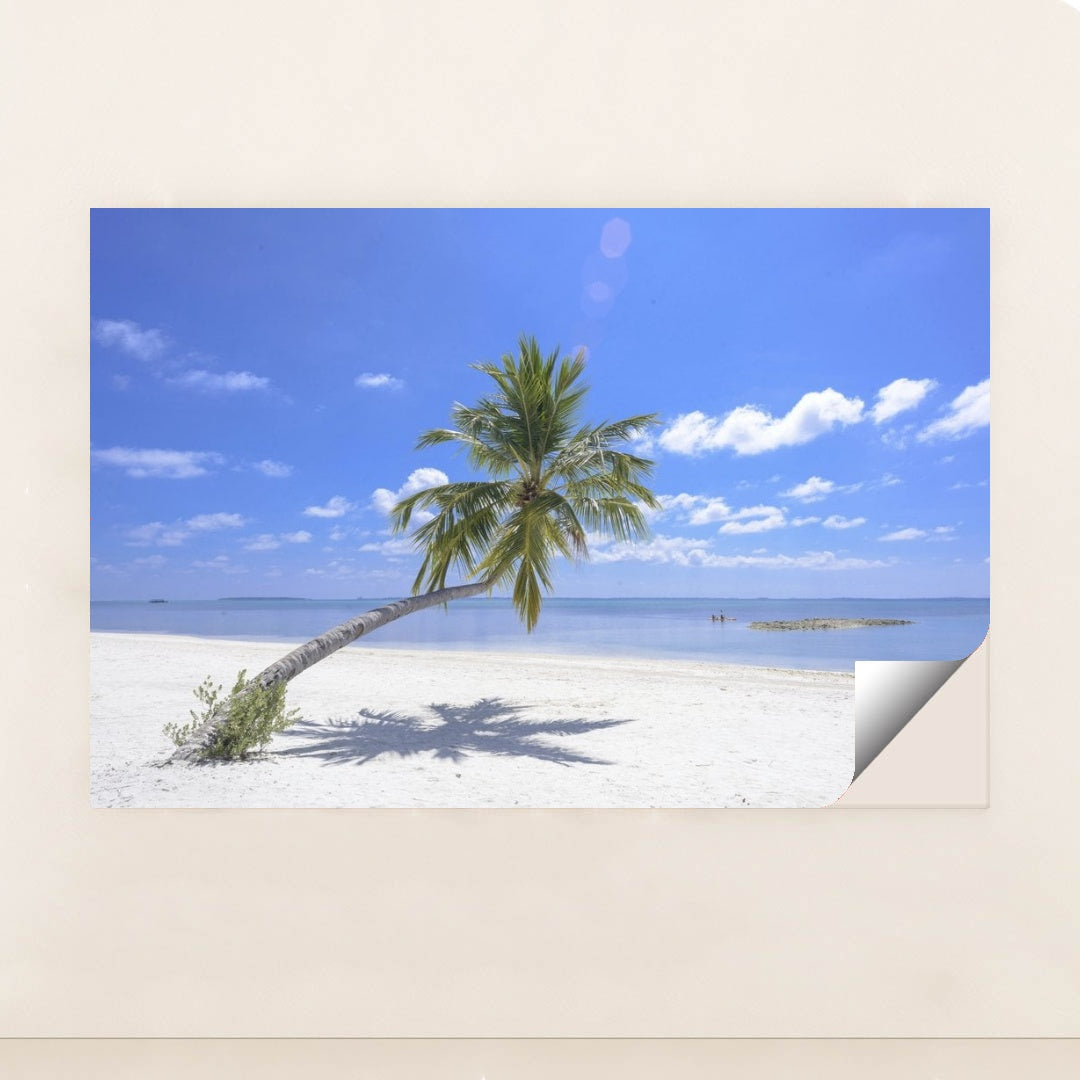 7090357436451 - Product Image