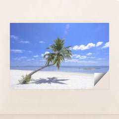 7090357436451 - Product Image