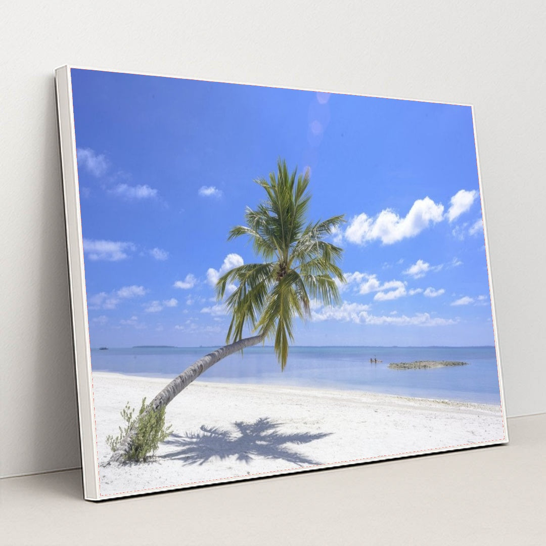 7090357436451 - Product Image