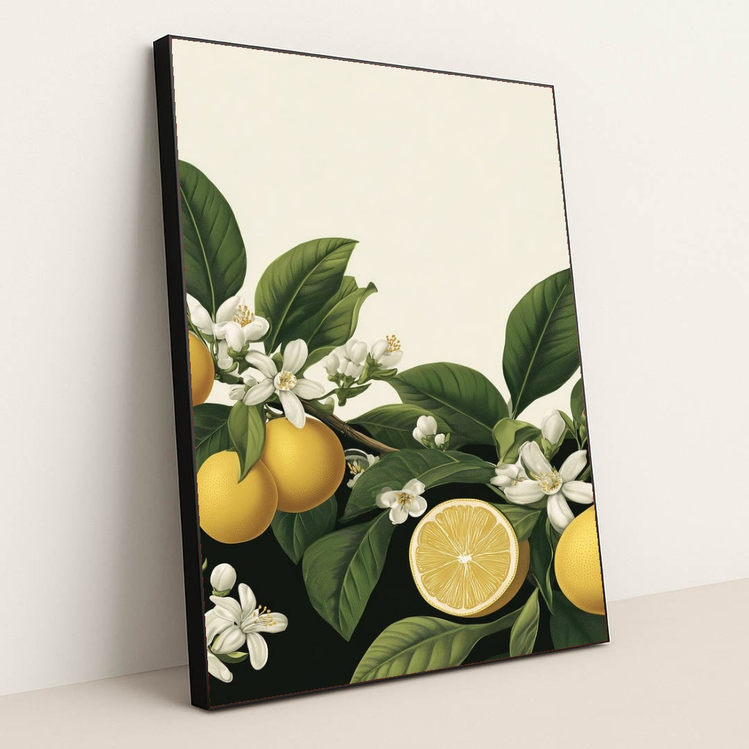 6222 - Product Image