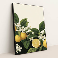 6222 - Product Image