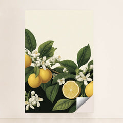 6222 - Product Image