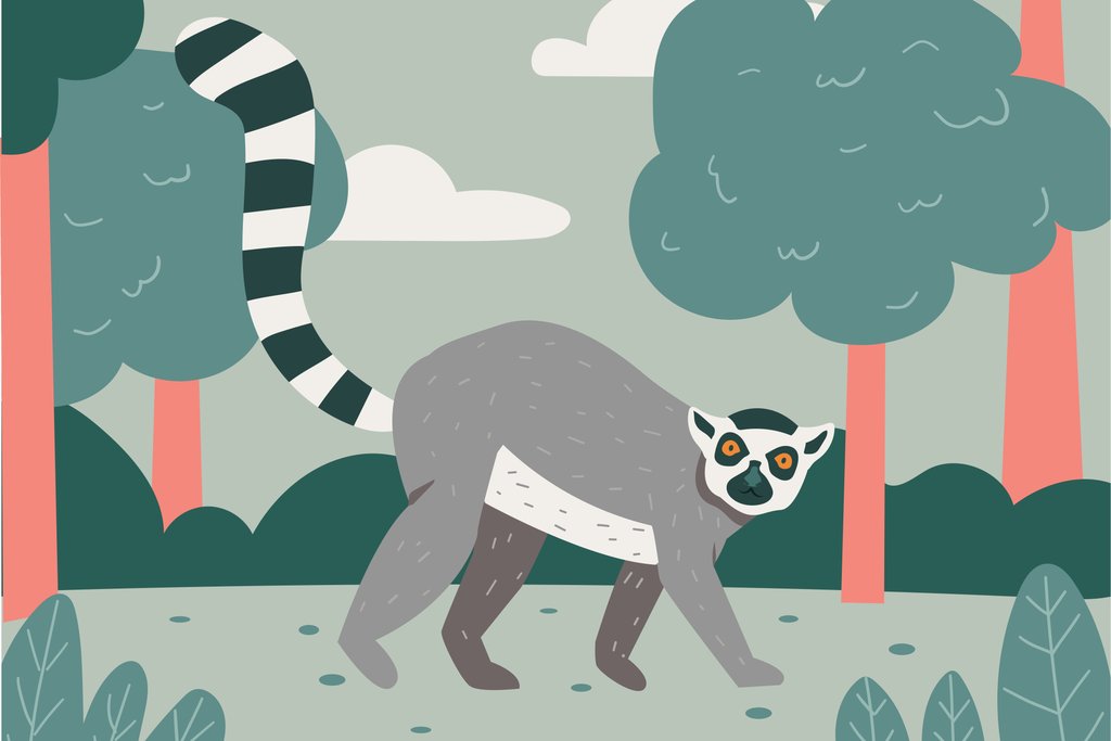 Summerizze - A picture of a raccoon walking in the woods