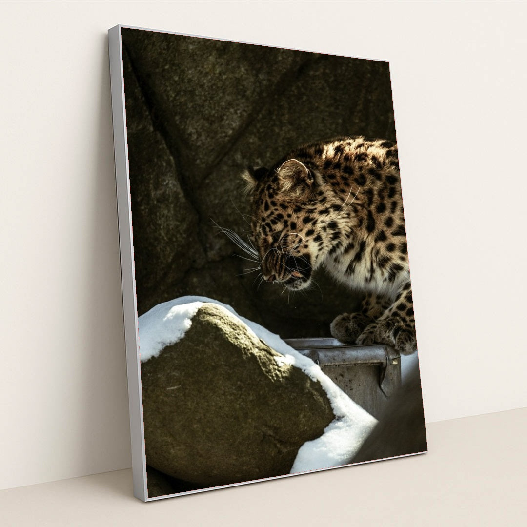 7090355437603 - Product Image