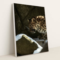 7090355437603 - Product Image