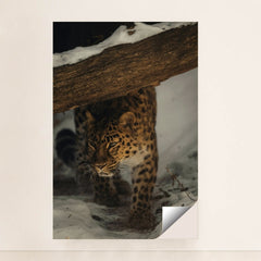 7090355306531 - Product Image