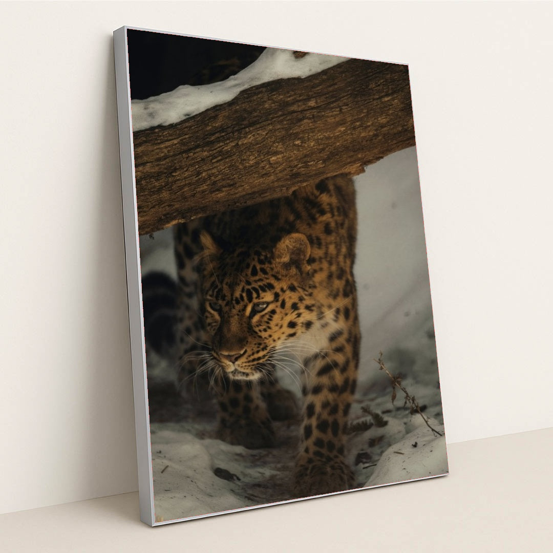 7090355306531 - Product Image