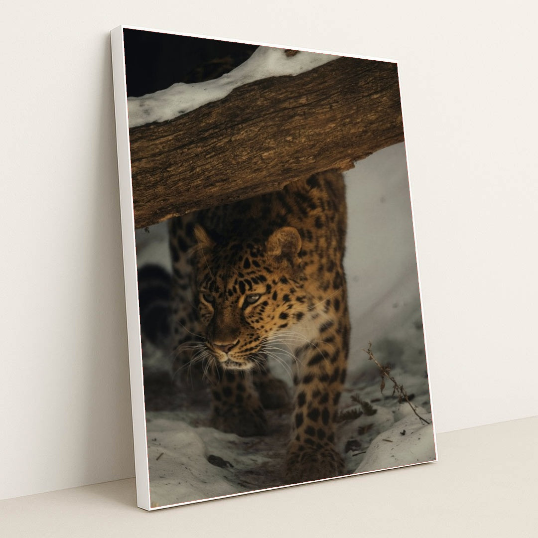 7090355306531 - Product Image