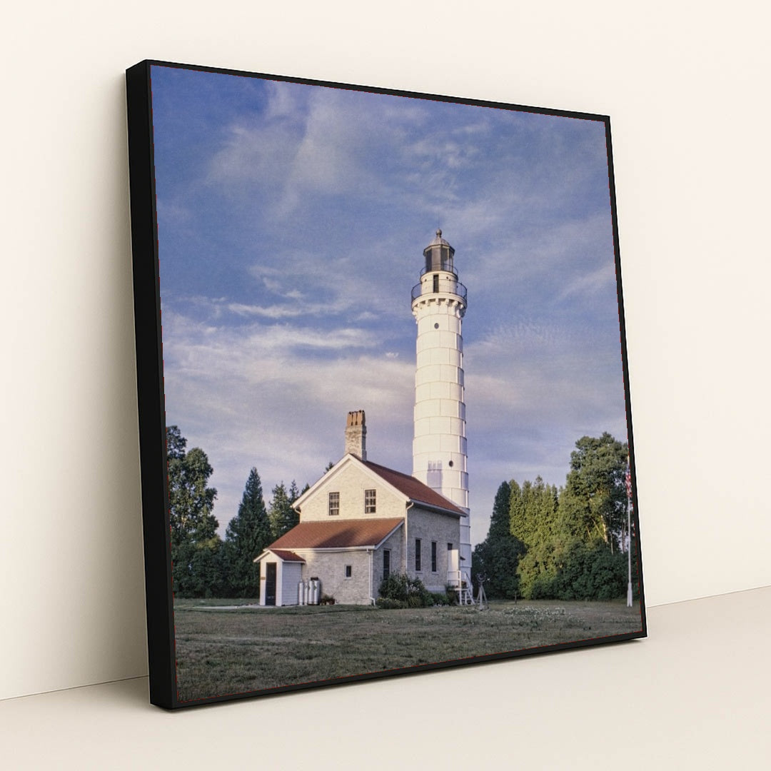 7090341511203 - Product Image