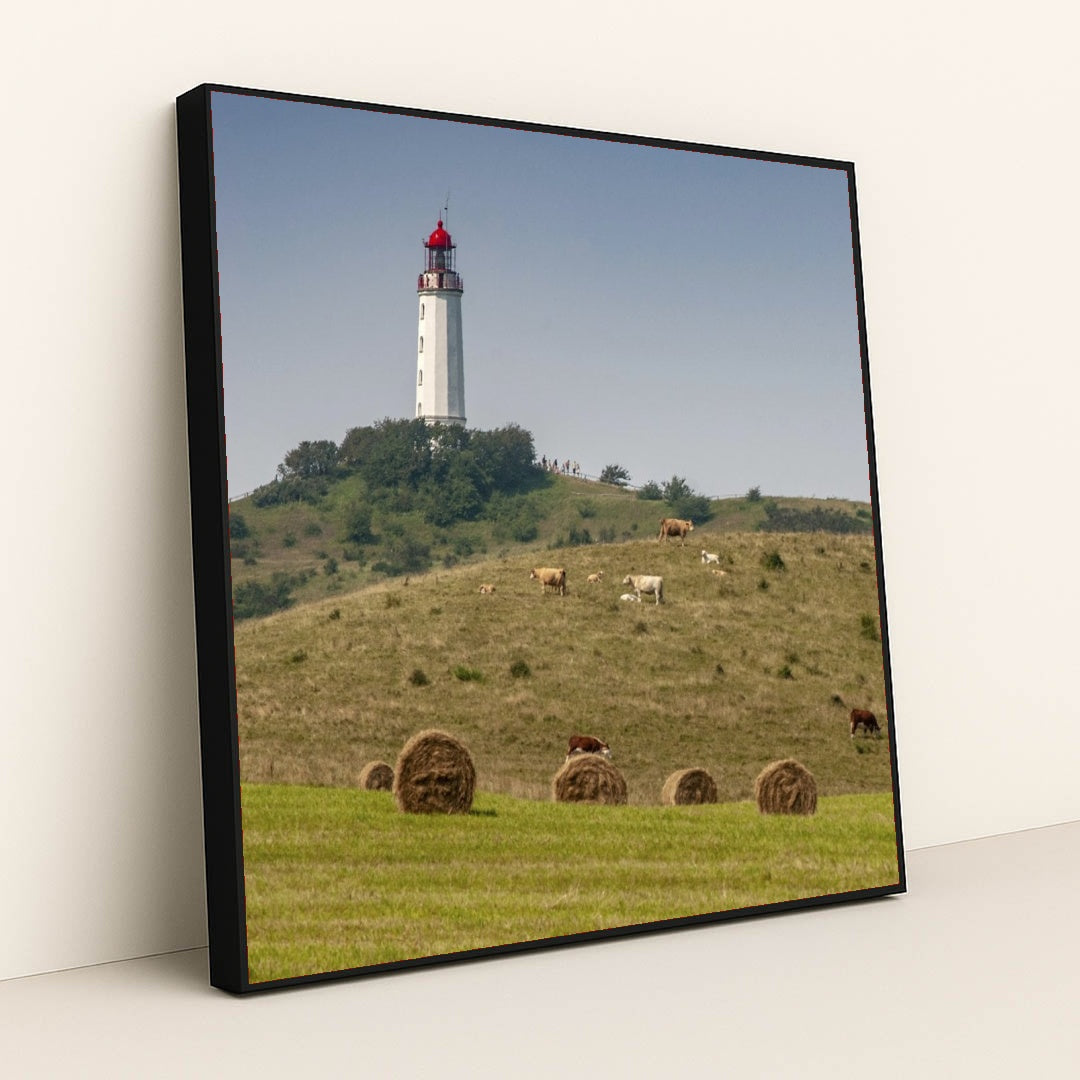 7090331385891 - Product Image