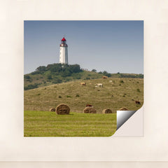 7090331385891 - Product Image